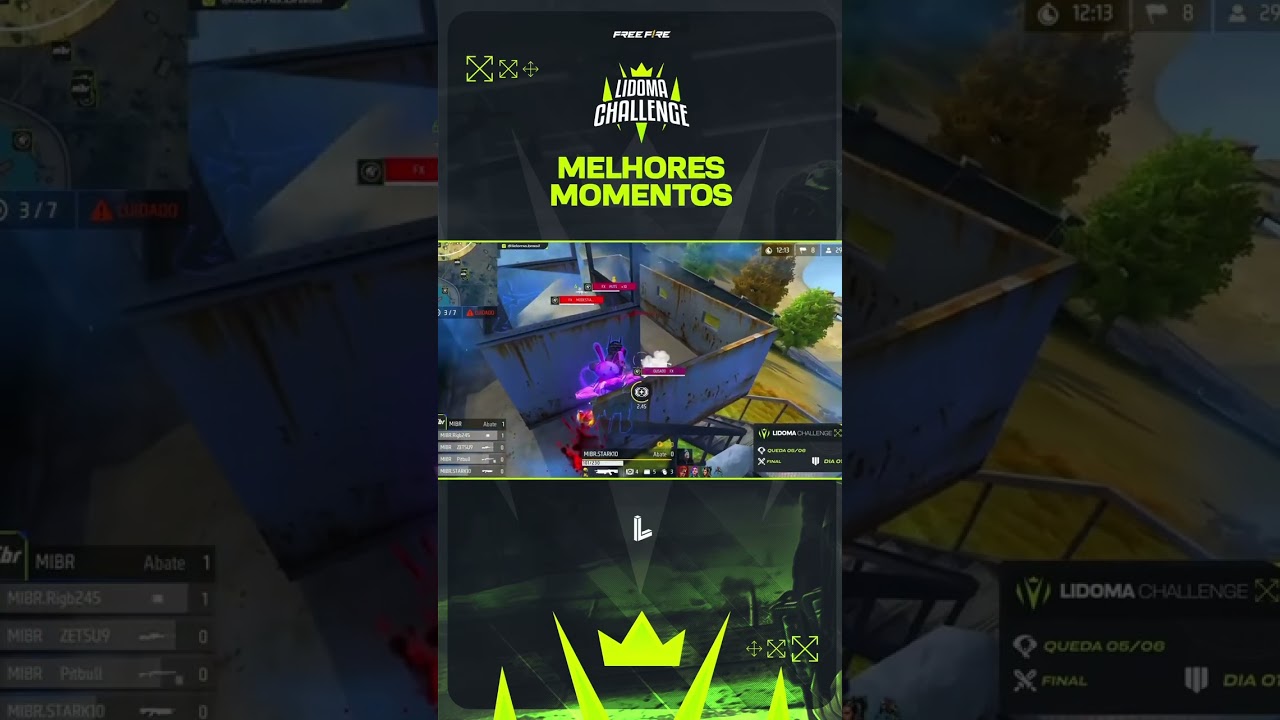MIBR x FLUXO