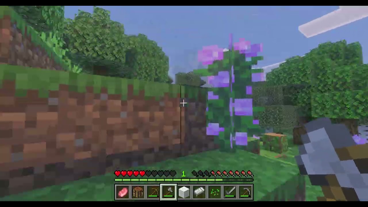 Minecraft survival serisi bölüm 1 keşif