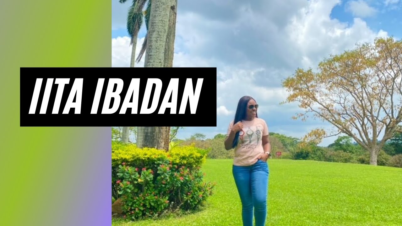 IITA Hotel Ibadan: Is this the best hotel in Ibadan?