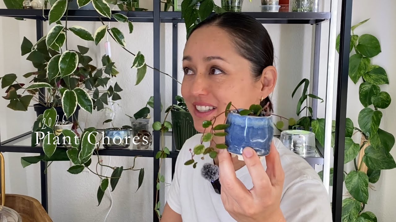 Potting Propagations into My Ceramic Pots, Saving My Philo Columbia? Plant Chores with Me Ep.25