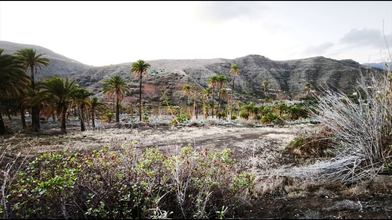 Por el Valle de San Roque