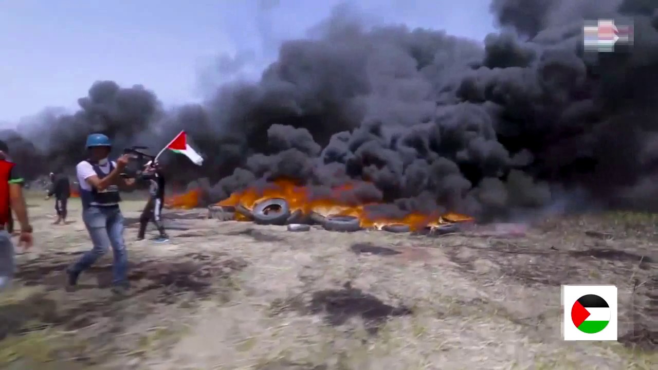 راجعين يا وطن 