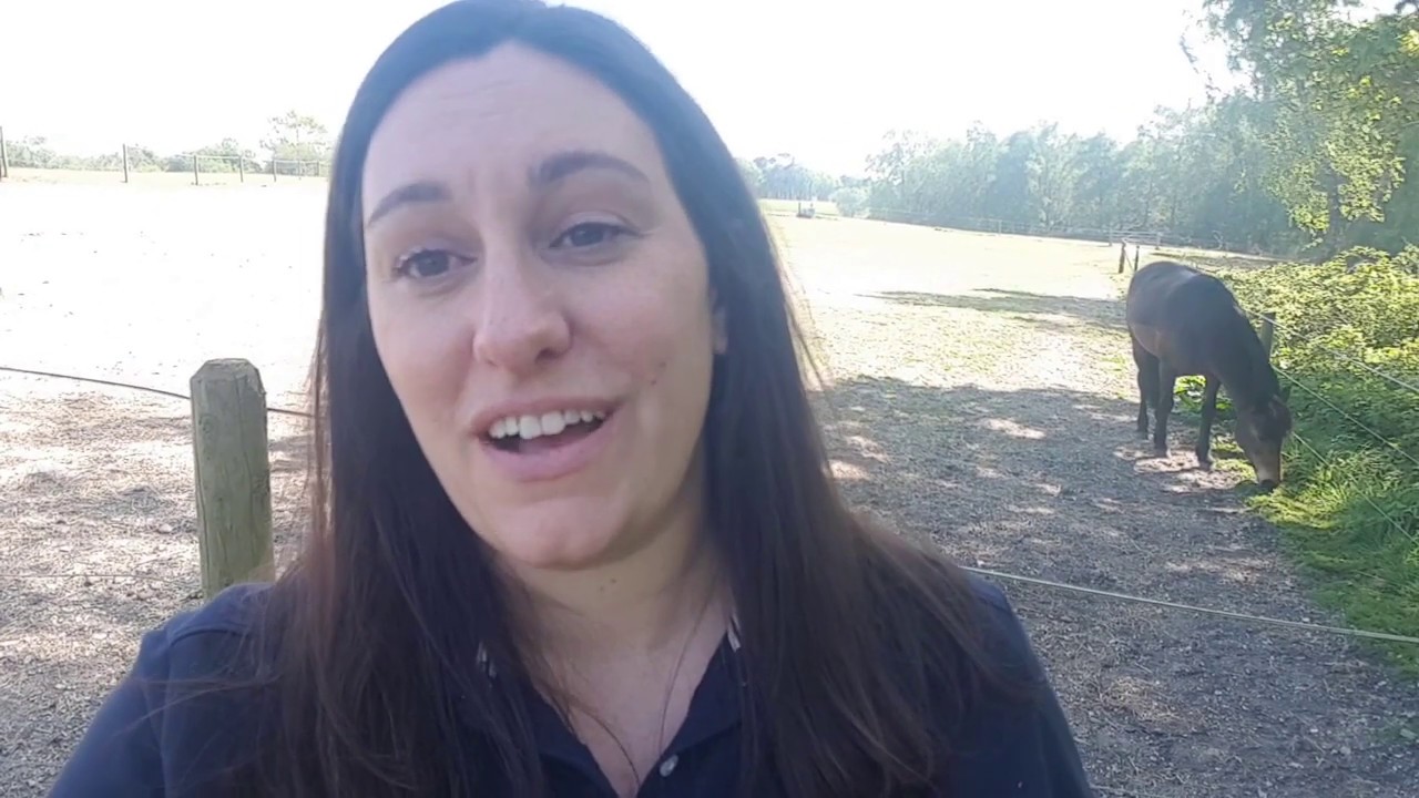 Easter 2020 Part Two | Fortune College Vlog