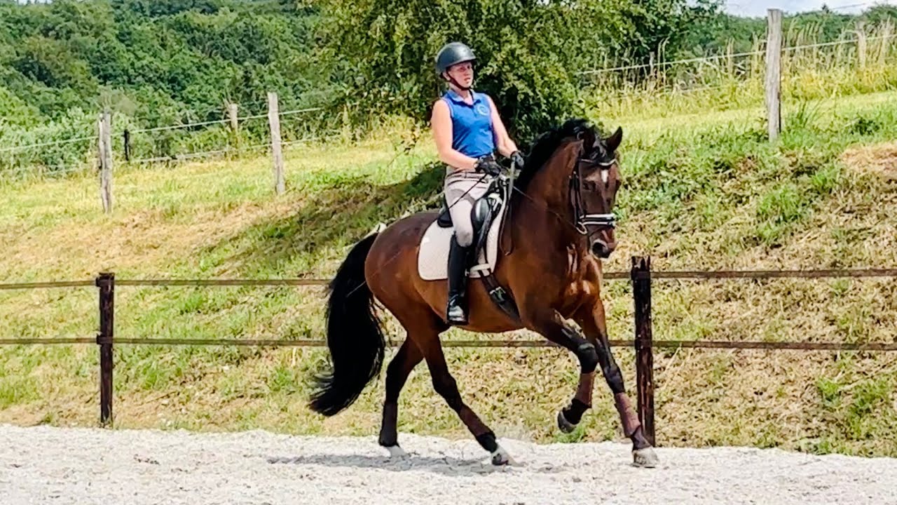 Stage Alizée Froment