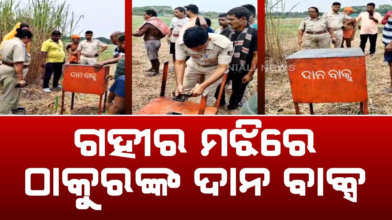 କେଉଁଠୁ ଆସିଲା ବାକ୍ସ!! ଗହୀର ମଝିରୁ ମିଳିଲା ଠାକୁରଙ୍କ ଦାନବାକ୍ସ | Niali News | Spiritual