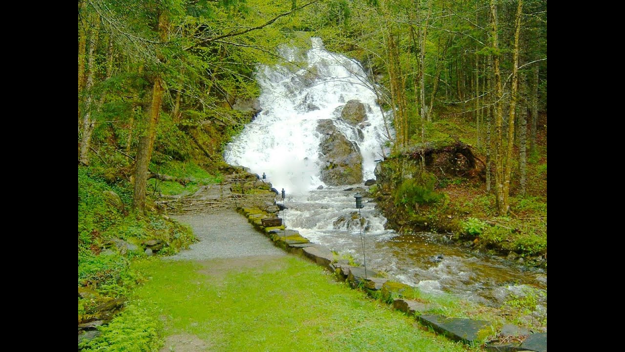 56+ Acre Waterfalls Property For Sale: Previously Run As Jeudevine Falls Wedding Venue