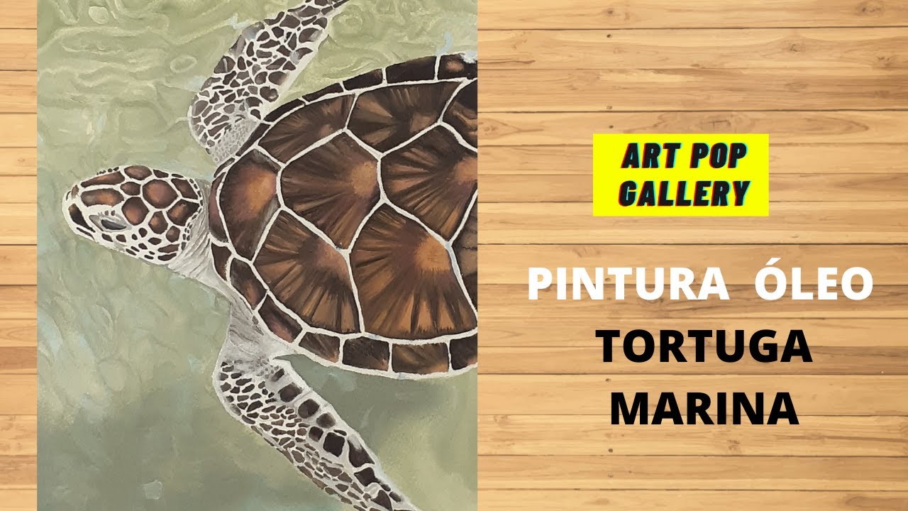 Pintura al óleo de una Tortuga / Paso a Paso / Art Pop Gallery