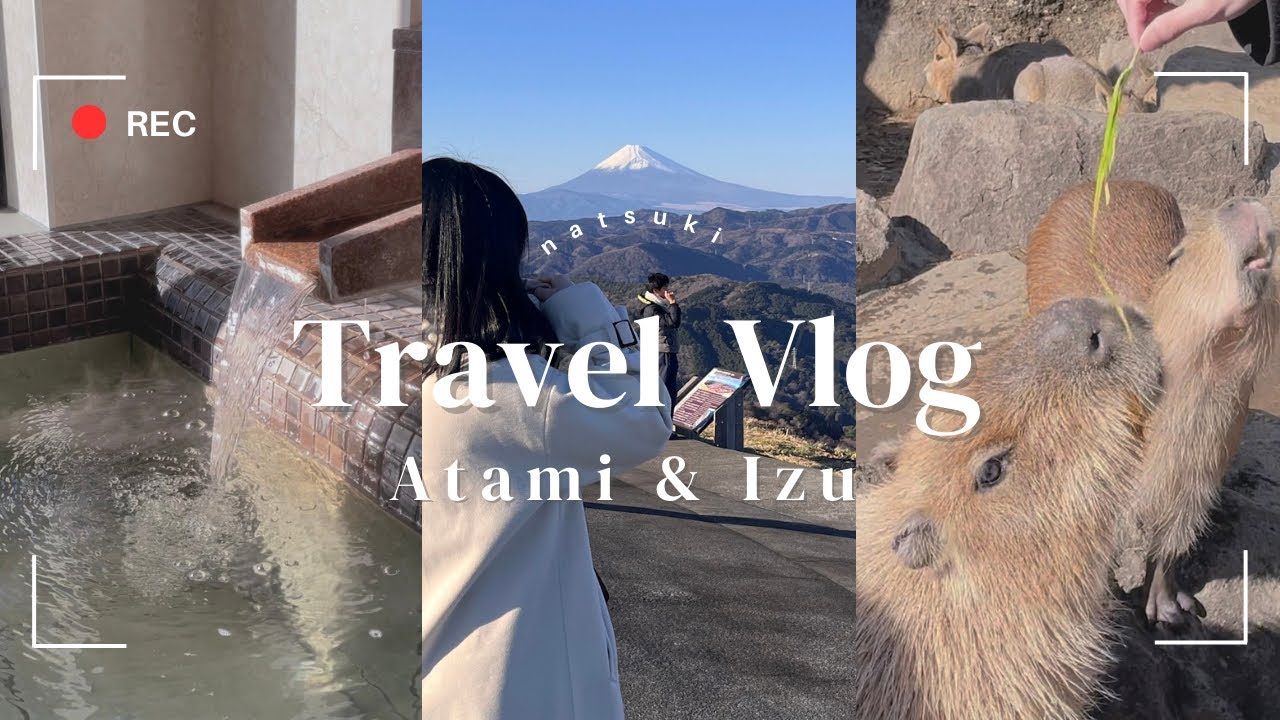 《vlog》Путешествие в Атами и Идзу 🧳 2 дня релакса ♨️🗻 | Музей MOA | Зоопарк Идзу | Гора Омуро