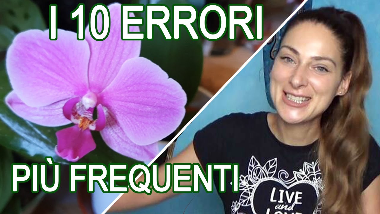 10 cose da NON FARE con le orchidee 🌺 suggerimenti per principianti