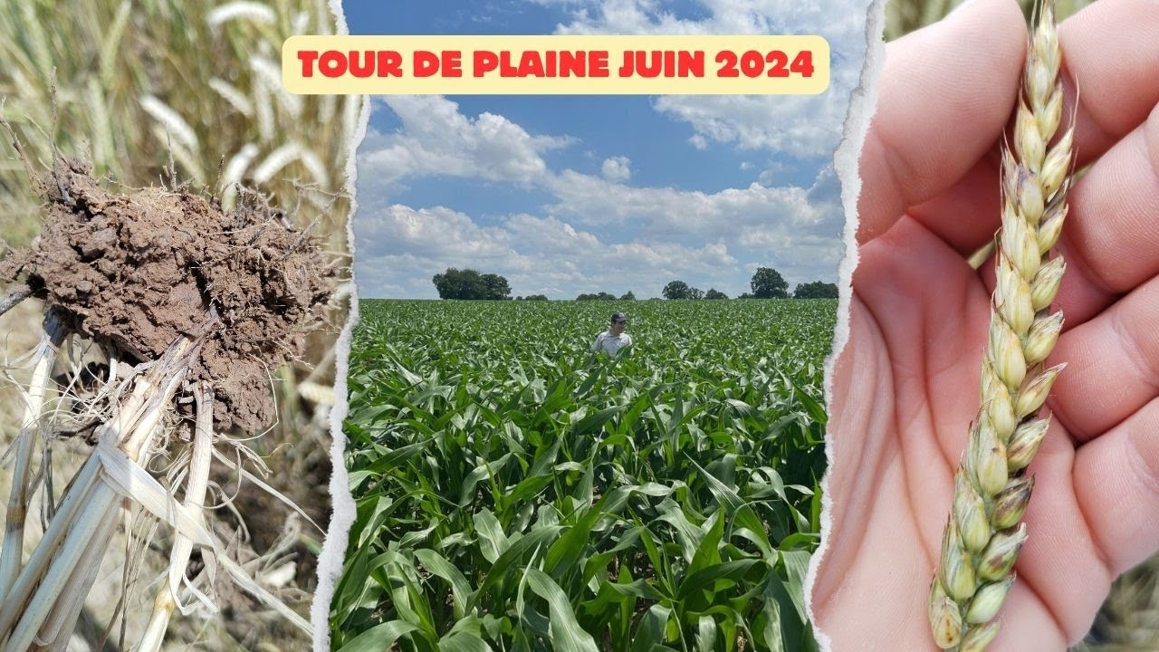 Tour de plaine juin 2024 avec Pierre ! By LVH