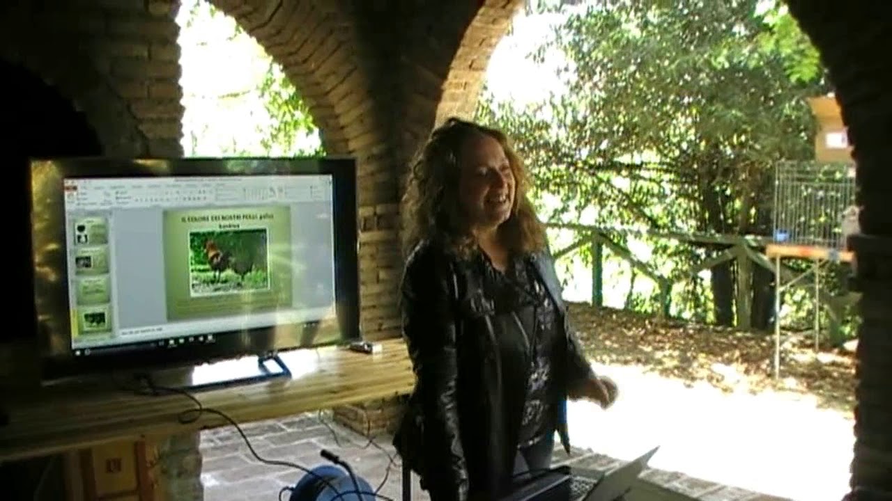 Videoguida 6 - Appunti di genetica 2 - I colori dei polli