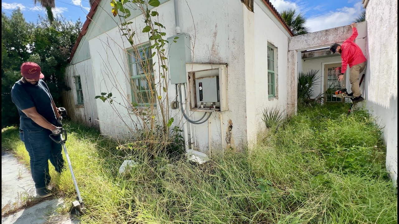Im SURPRISED RICH neighbors didn't call the city on this NEGLECTED eyesore in a WEALTHY neighborhood