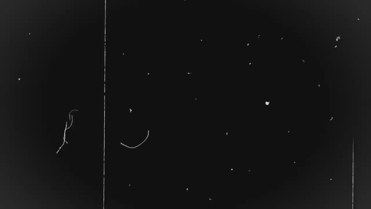 Old Film Grain Overlay| No Copyright | Video FX