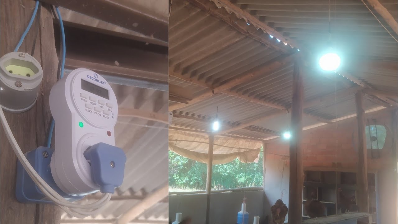 Como estalar Temporizador para ligar e desligar as luzes do aviário (DECORLUX)