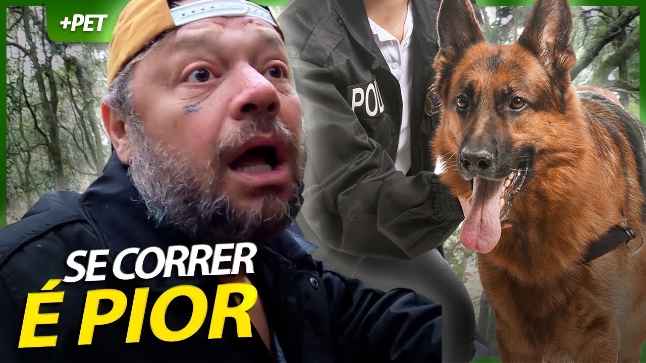 PASTOR ALEMÃO, O MELHOR CÃO POLICIAL! | EP.1 | CRIAÇÃO E CRIADOR