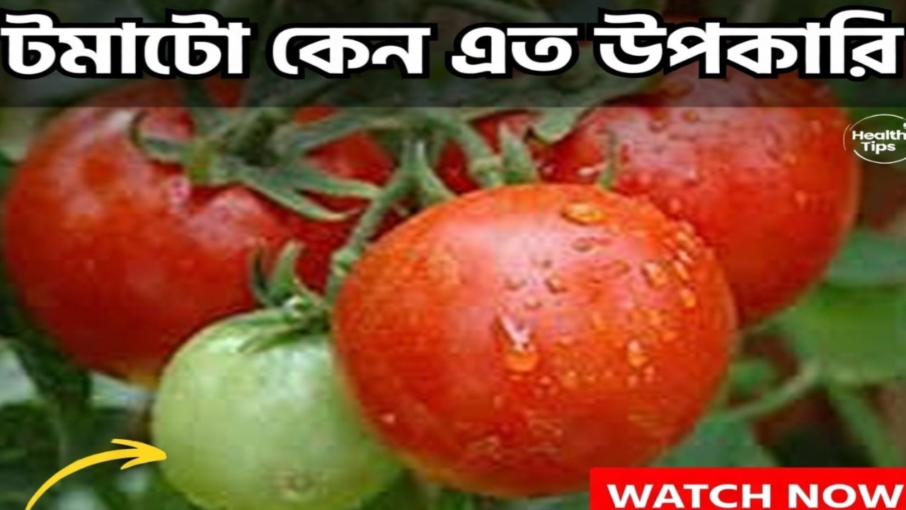 টমাটো কেন এত উপকারি জেনে নিন,,