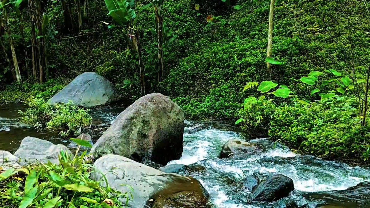 Relaxing River Sounds for Deep Sleep, Stress Relief & Meditation