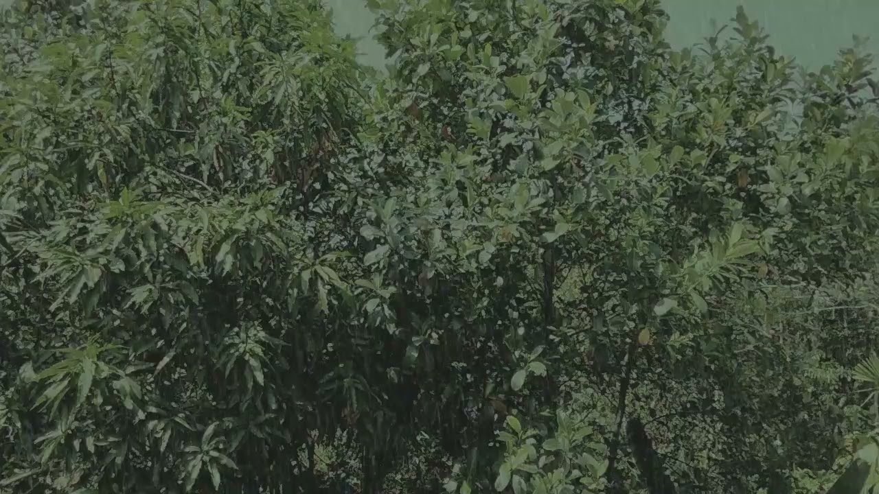 soothing sounds of rain and thunder | rain sounds