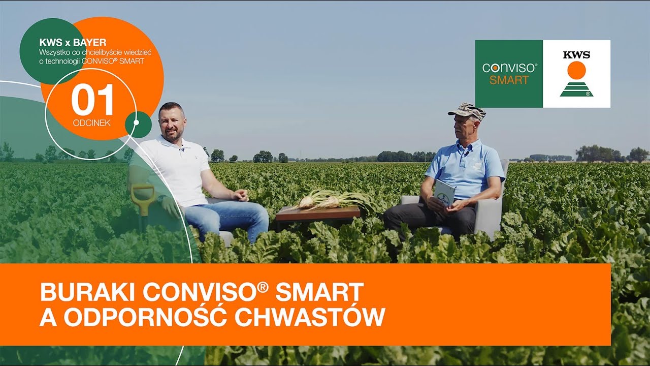Buraki CONVISO® SMART a odporność chwastów / KWS x BAYER odc. 1