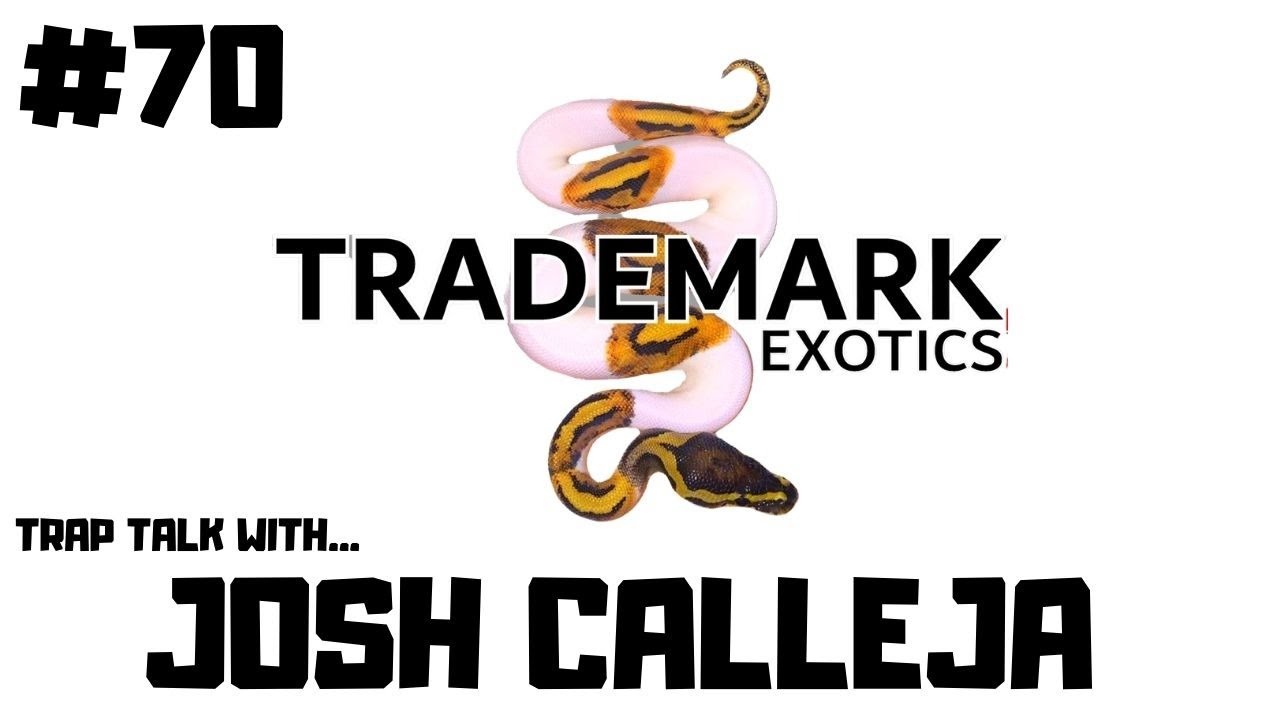 #70 JOSH CALLEJA OF TRADEMARK EXOTICS | BALL PYTHON BREEDER | TRAP TALK WITH MJ