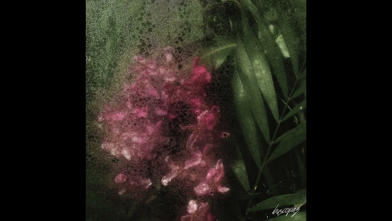 buscopaz - Conversations