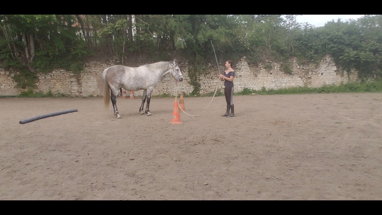 Isabelle Fievet and Jalypso (member 689624) Level 1 On line Parelli Audition