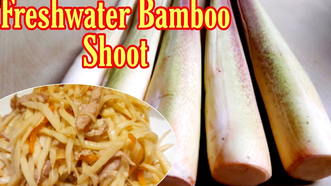 How to Cook Freshwater Bamboo Shoot || Chinese Recipe
