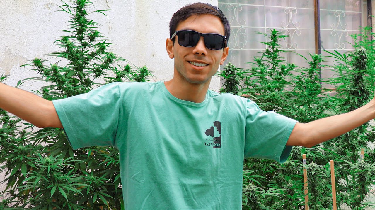 &iquest;C&oacute;mo Empec&eacute; a Producir Flores de Calidad?