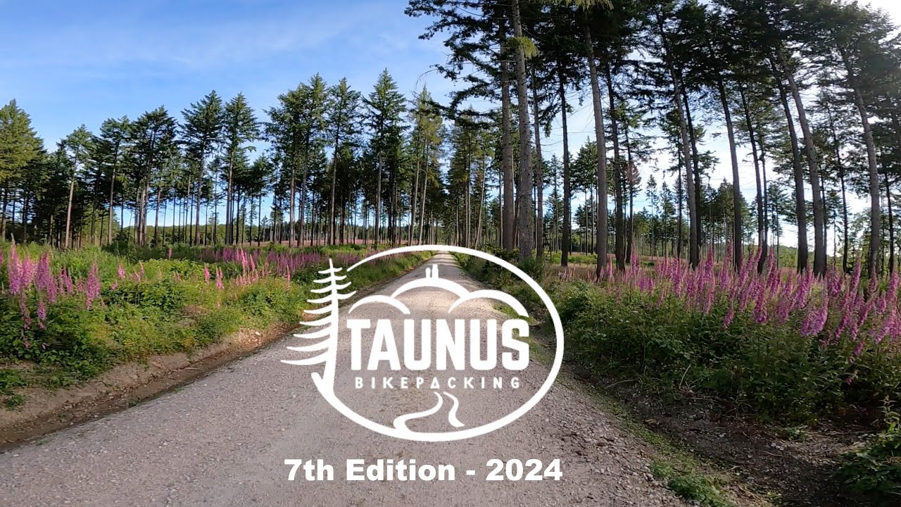 Tag 2: 2024 Taunus Bikepacking No.7