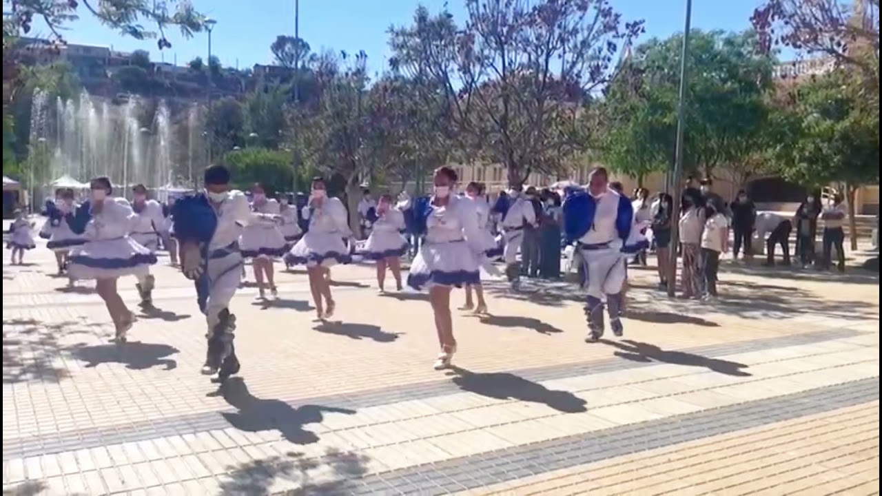 Hermandad del rosario de valle hermoso andacollo 2021