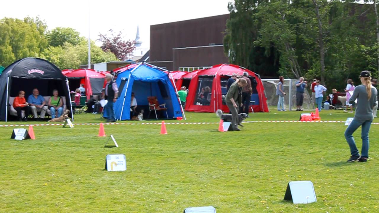 Rally i Bredsten 21 Maj 2011