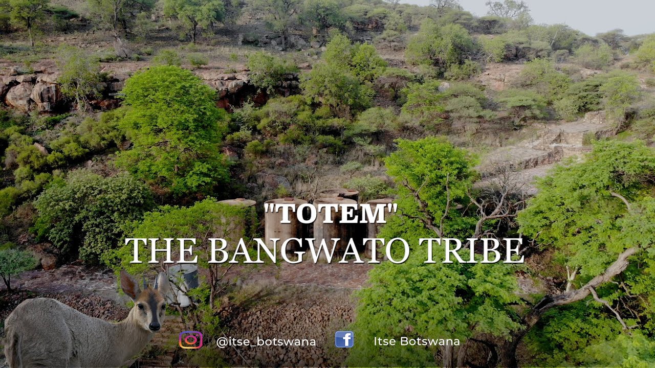 The Bangwato Tribe Totem
