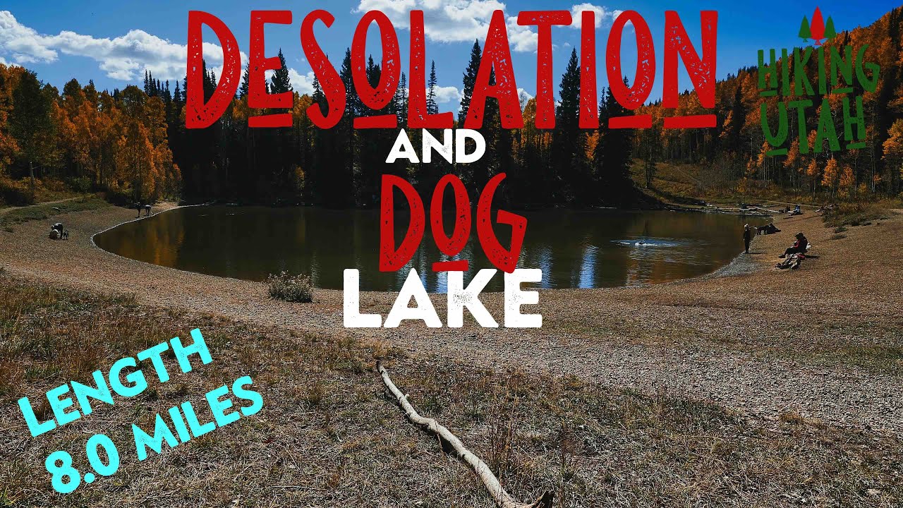 Hiking Desolation and Dog Lake Trail Utah