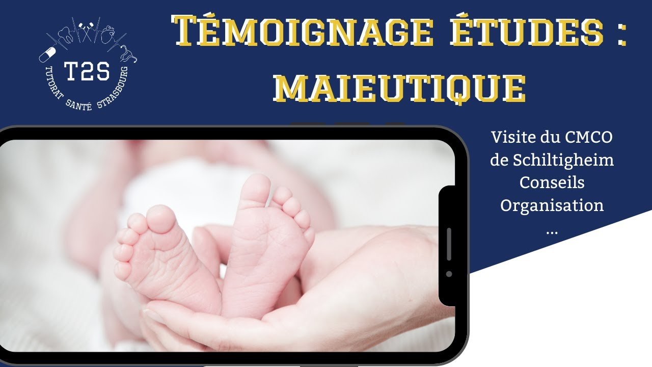 Présentation et témoignages études - MAIEUTIQUE