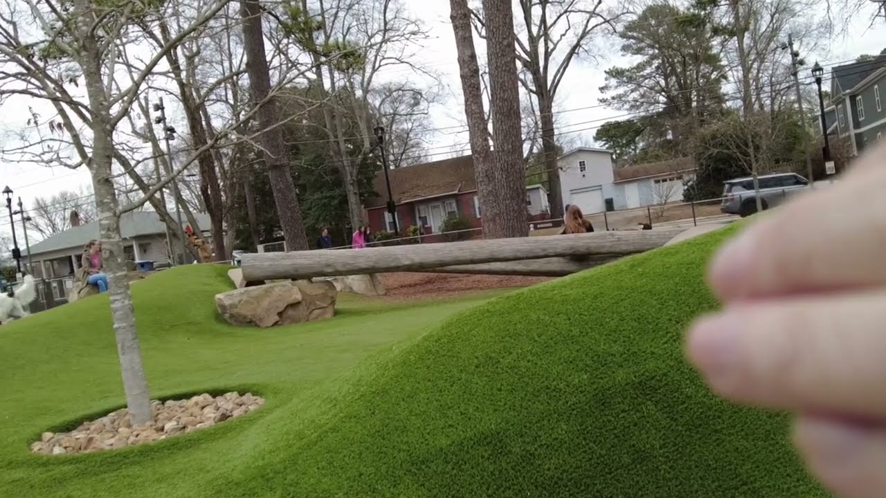 A dog goes to Cary Dog Park