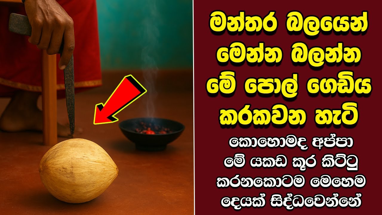 ඔබ මේවා දකින්නේ ජිවිතේ පළමු වතාවට EP:493