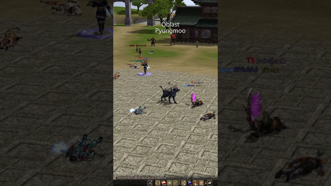 Metin2 is a very fun game endeed
