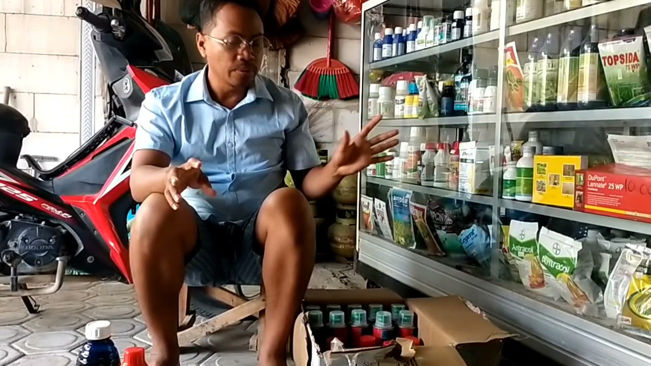 Modal Dasar 1 juta bisa jualan obat pertanian#petanimuda#plenum#gramoxone#spontan