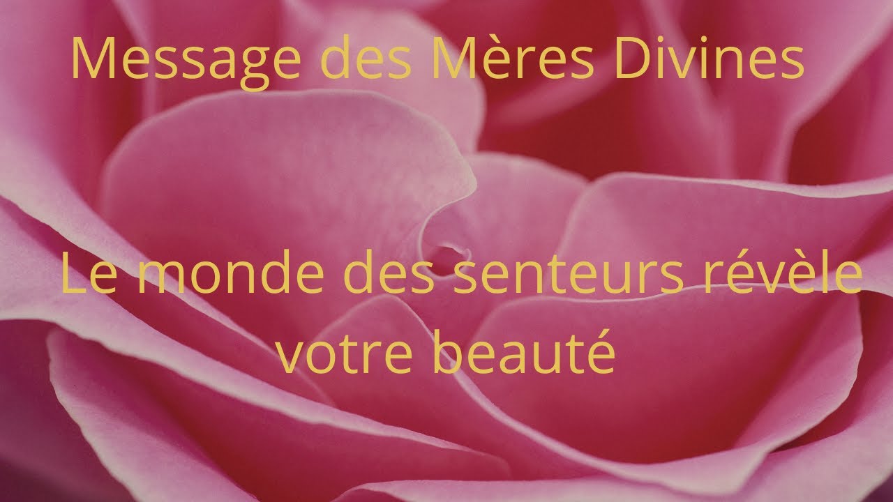Le monde des senteurs révèle votre beauté