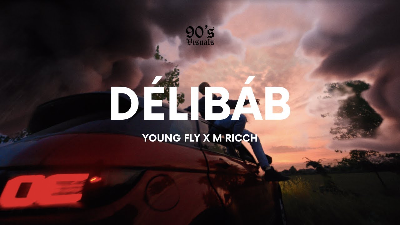 Young Fly x M Ricch - D&eacute;lib&aacute;b