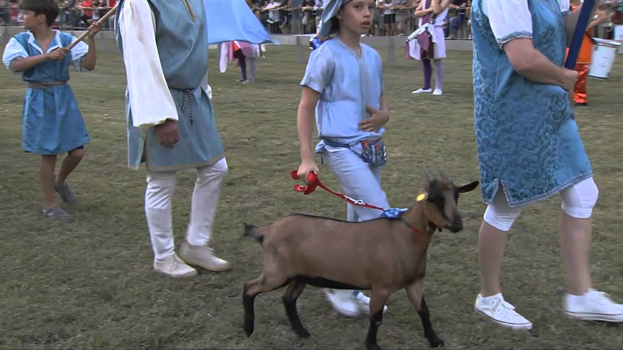Palio della Capra d'oro (Cavriana, 05/07/2014)