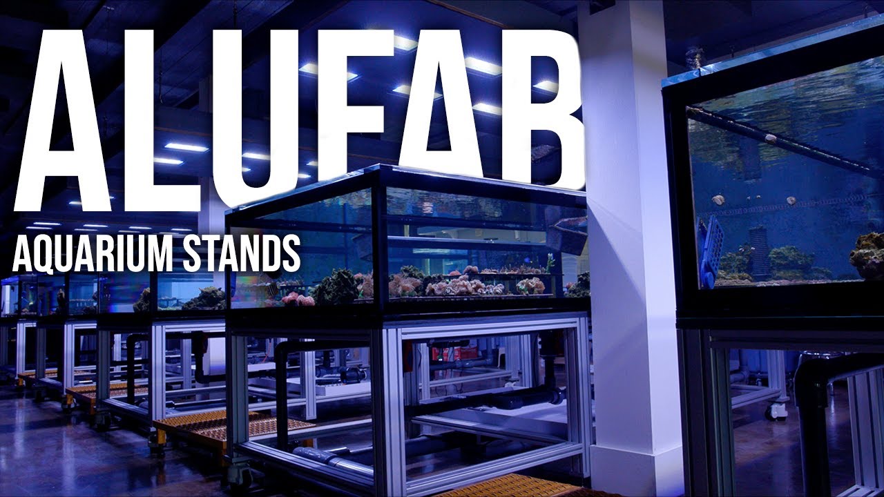 Лучшие подставки для аквариумов | Alufab!