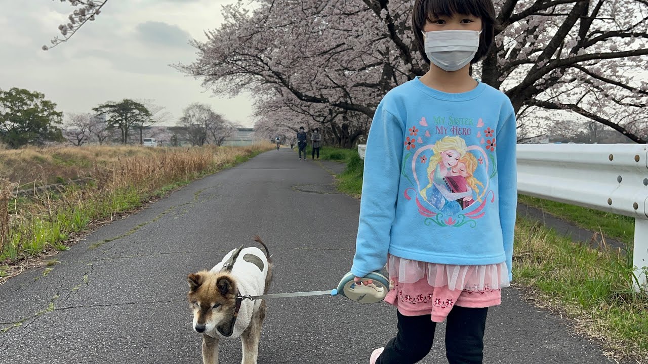 2022令和4年 4月　ラッキーと一緒に🌸🌸お花見🌸🌸
