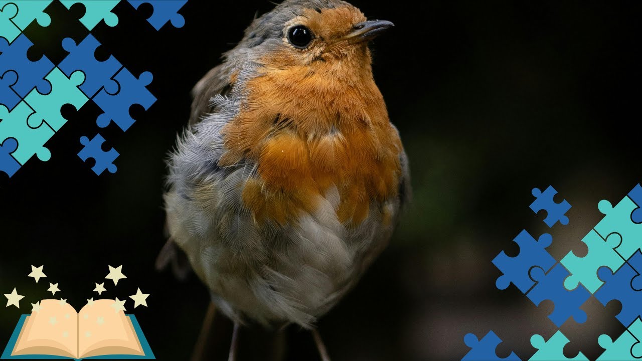 A little birdie told me... Blood on the Clocktower