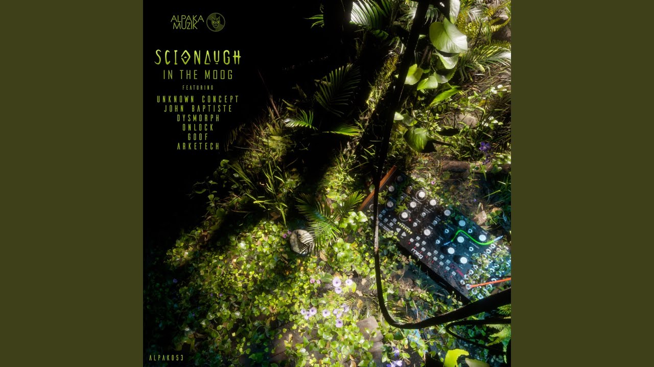 Babushka Bell Pepper