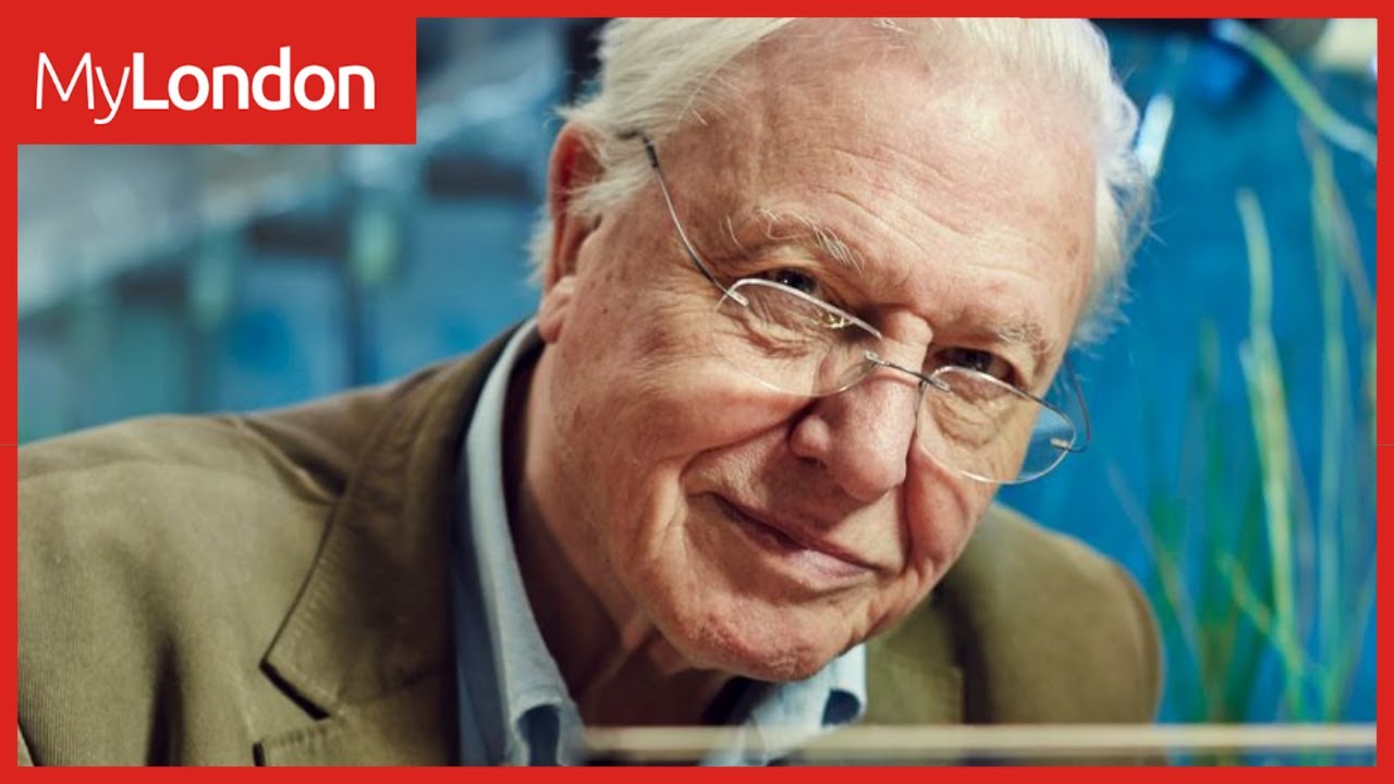 David Attenborough's life from sudden loss of wife of 47 years