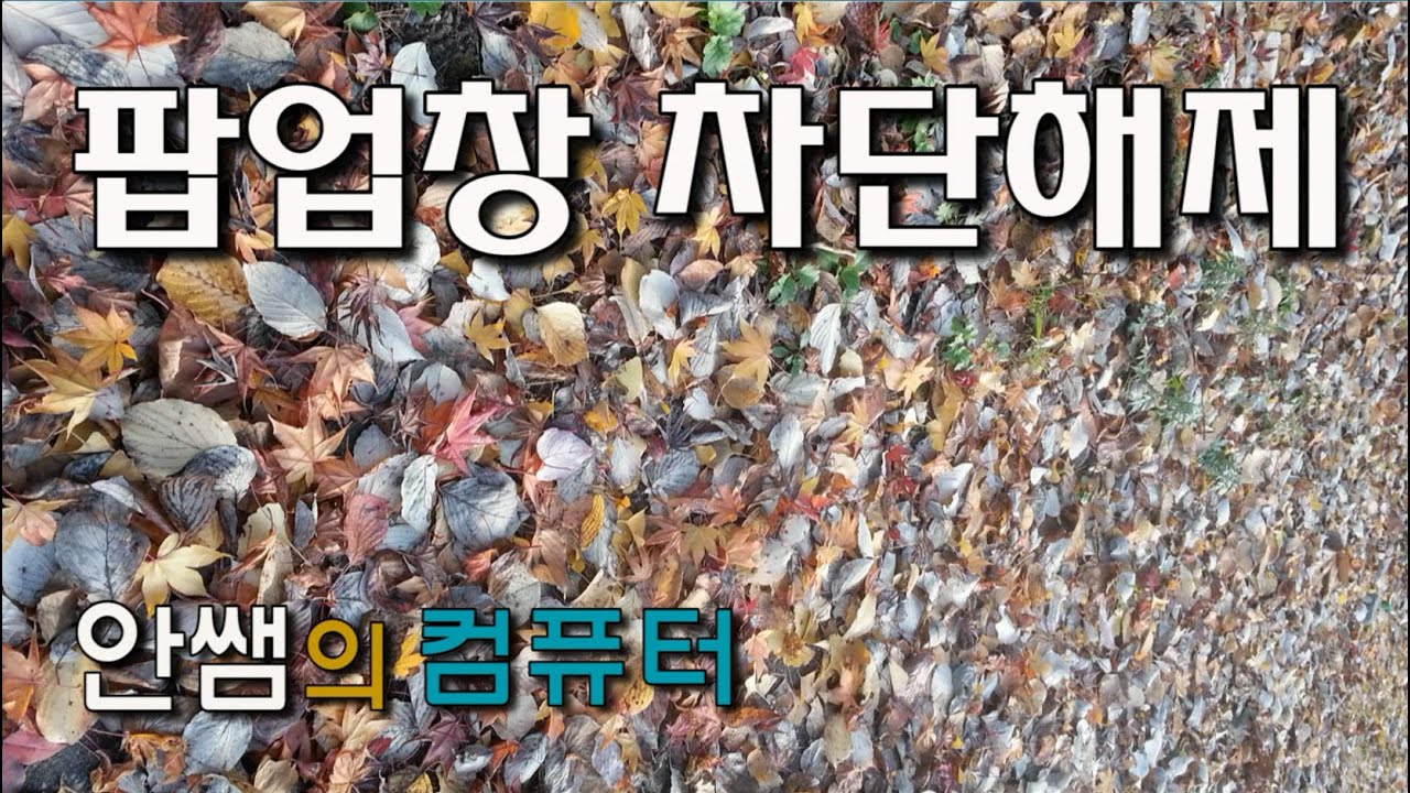 팝업차단해제, 크롬 팝업창 차단 허용, 팝업창 제어하기