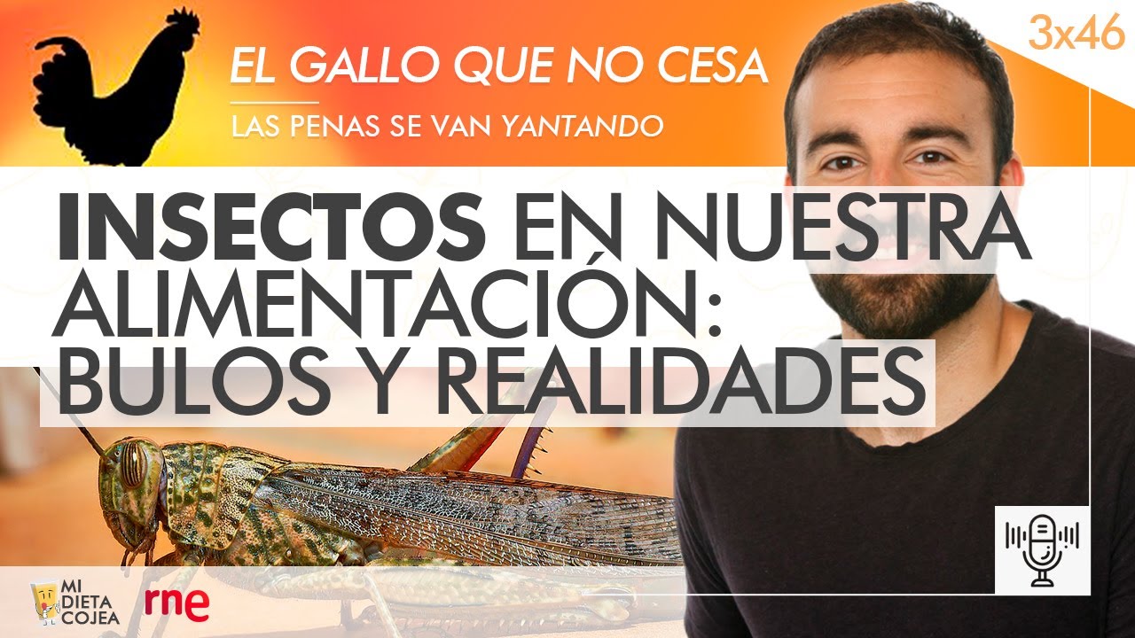 Insectos en nuestra alimentación: Bulos y realidades (RNE) - Programa 3x46