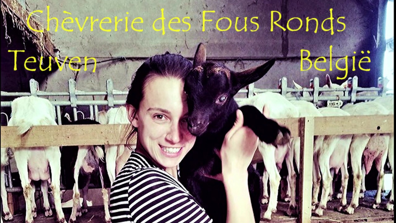 Chevrerie des Fous Ronds You Tube Movie axp