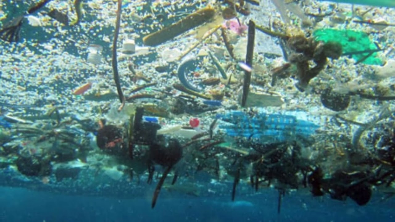 Plastic - Roland Barthes #rolandbarthes #philosophy